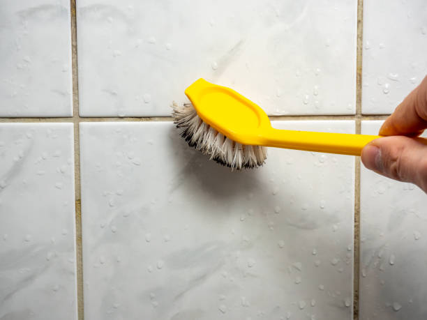  Kincheloe, MI Mold Removal Pros