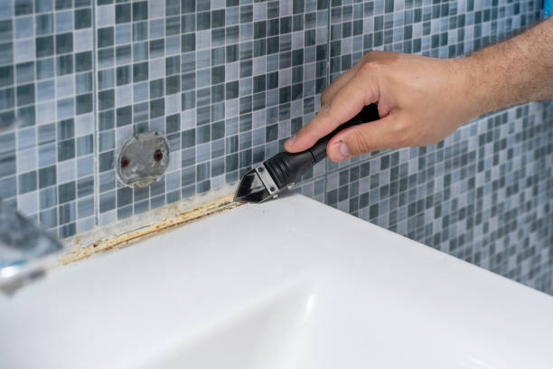 Best Certified Mold Removal  in Kincheloe, MI