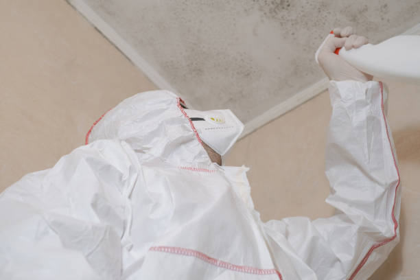 Crawl Space Mold Removal in Kincheloe, MI